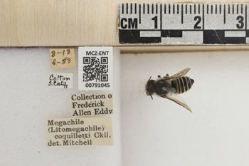 Media type: image;   Entomology 791045 Aspect: Labels